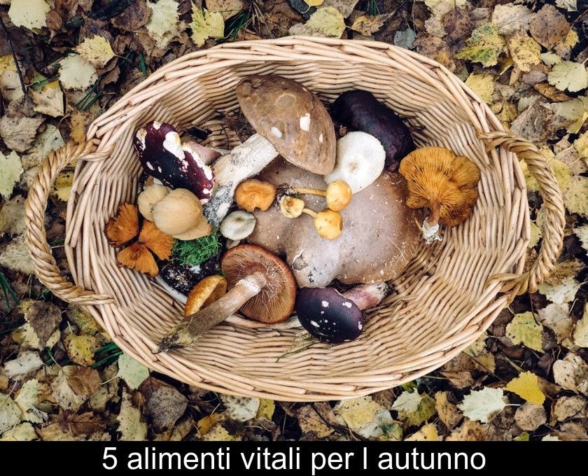 5 Alimenti Vitali Per L'autunno