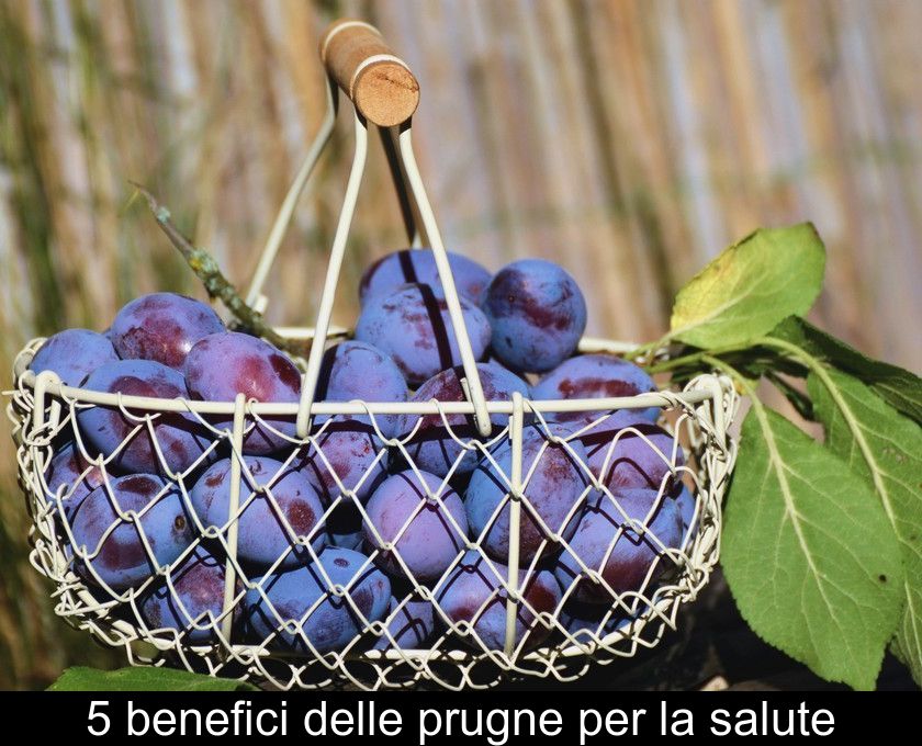 5 Benefici Delle Prugne Per La Salute