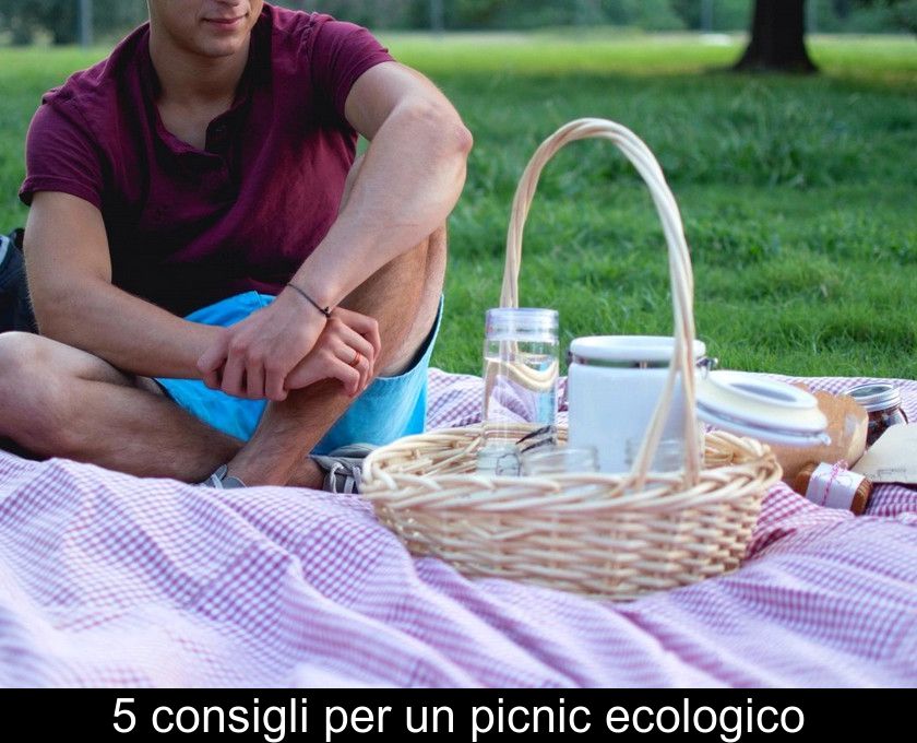 5 Consigli Per Un Picnic Ecologico