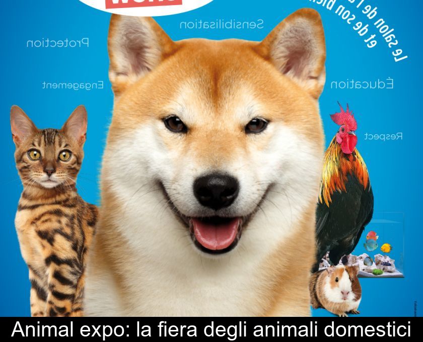 Animal Expo: La Fiera Degli Animali Domestici