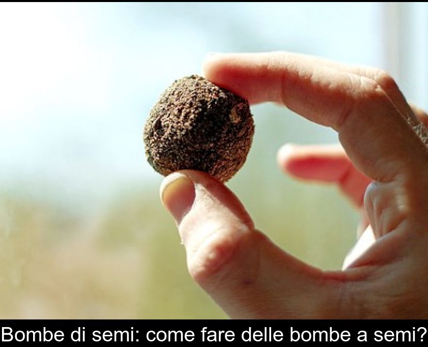 Bombe Di Semi: Come Fare Delle Bombe A Semi?