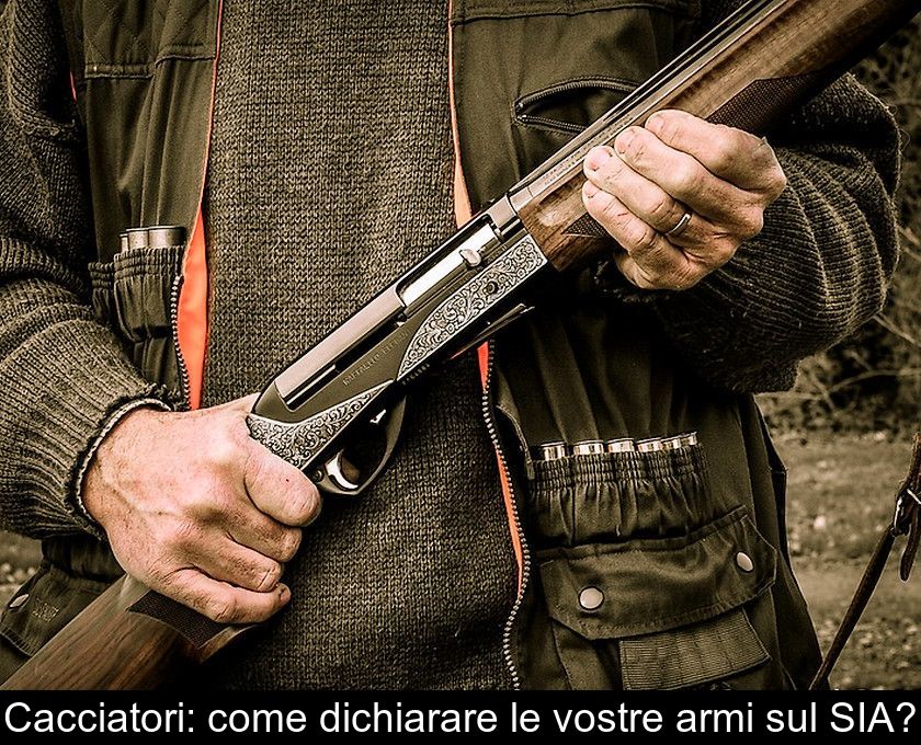 Cacciatori: Come Dichiarare Le Vostre Armi Sul Sia?