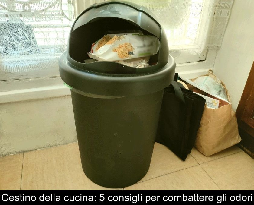 Cestino Della Cucina: 5 Consigli Per Combattere Gli Odori