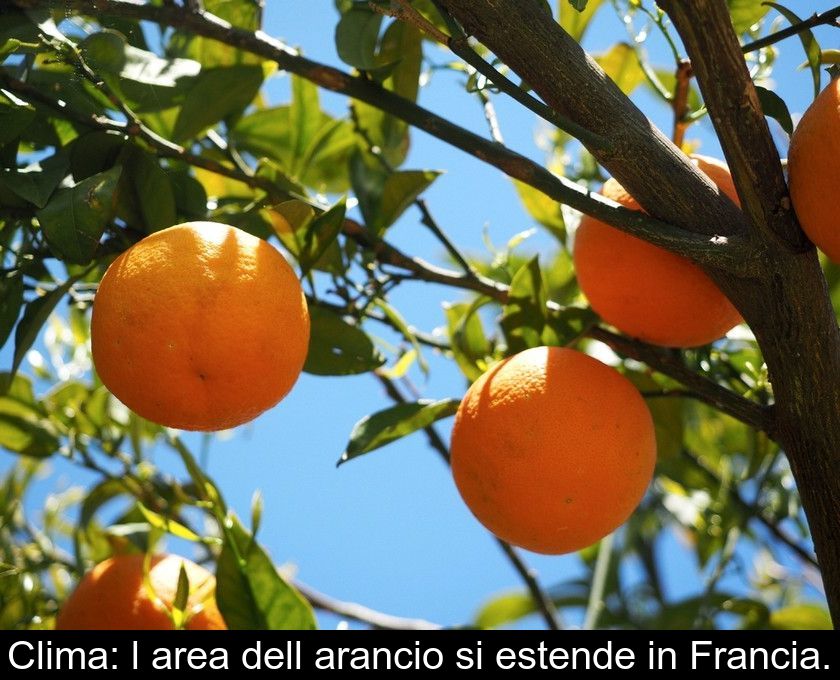 Clima: L'area Dell'arancio Si Estende In Francia.