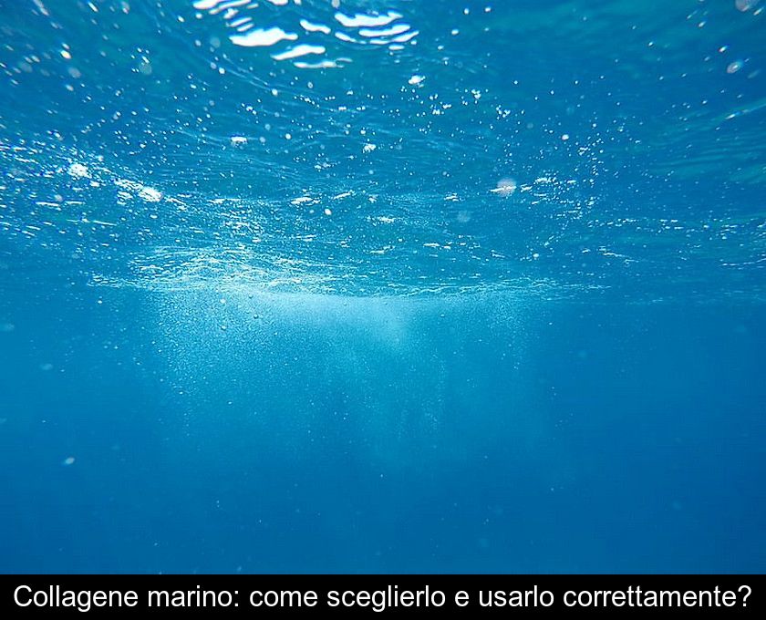 Collagene Marino: Come Sceglierlo E Usarlo Correttamente?