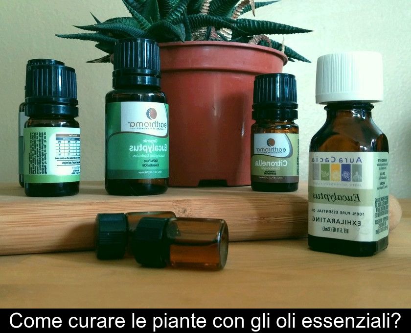 Come Curare Le Piante Con Gli Oli Essenziali?