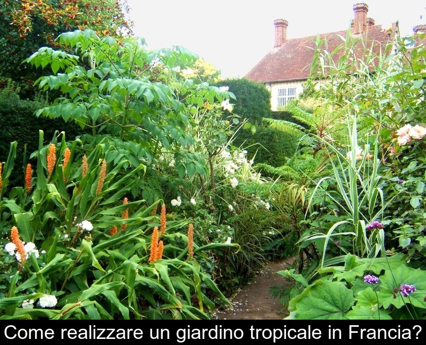 Come Realizzare Un Giardino Tropicale In Francia?