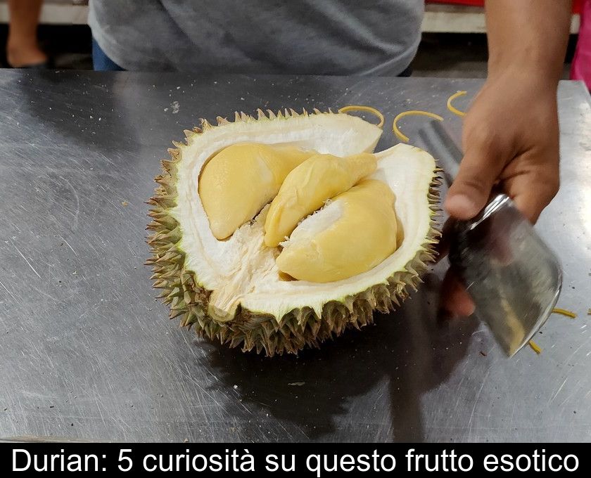 Durian: 5 Curiosità Su Questo Frutto Esotico