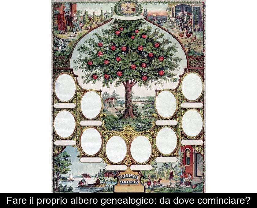 Fare il proprio albero genealogico: da dove cominciare?