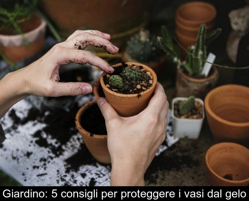 Giardino: 5 Consigli Per Proteggere I Vasi Dal Gelo