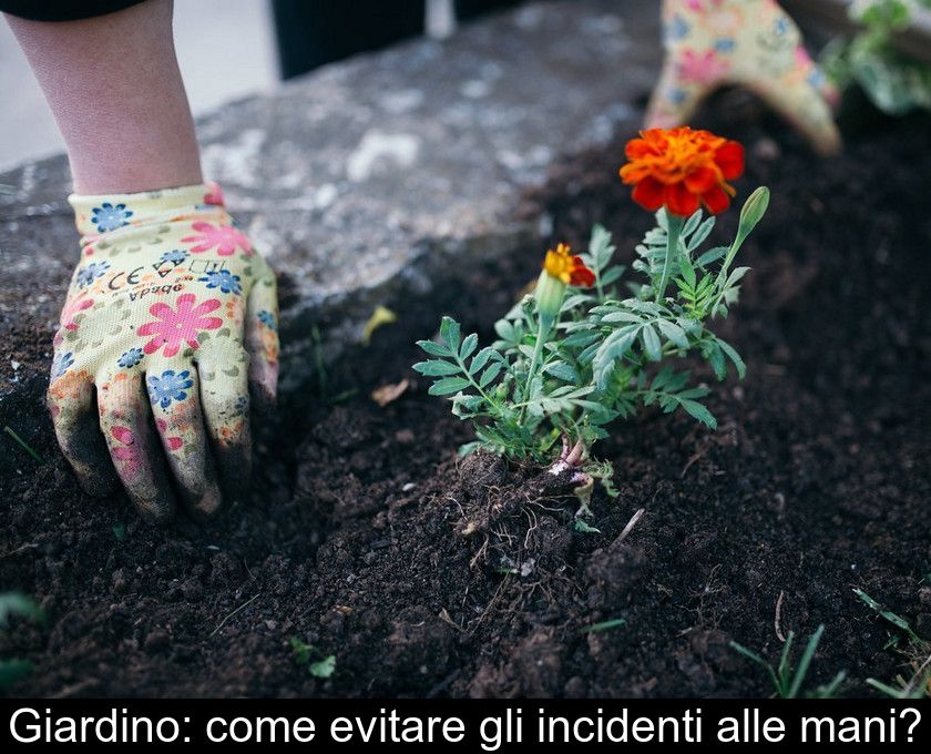 Giardino: Come Evitare Gli Incidenti Alle Mani?