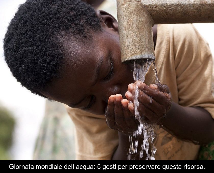 Giornata Mondiale Dell'acqua: 5 Gesti Per Preservare Questa Risorsa.