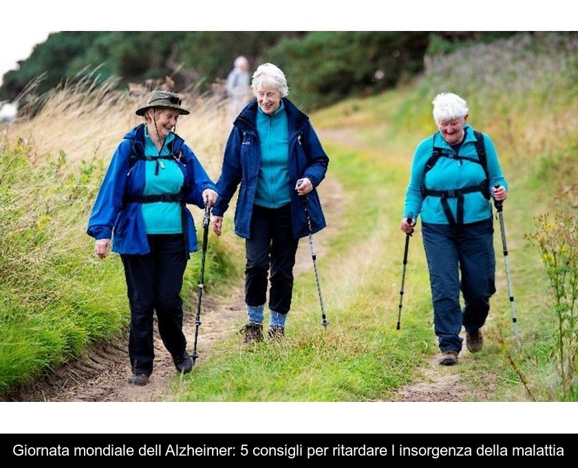 Giornata Mondiale Dell'alzheimer: 5 Consigli Per Ritardare L'insorgenza Della Malattia