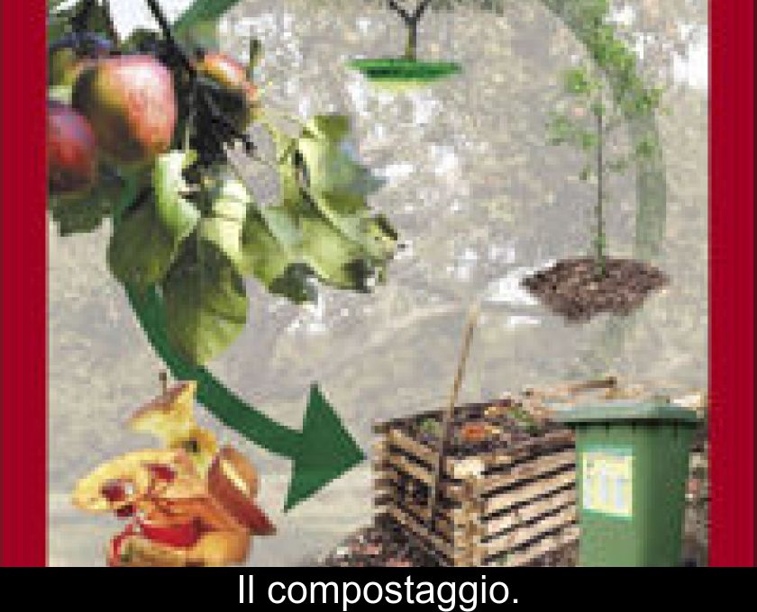 Il Compostaggio.