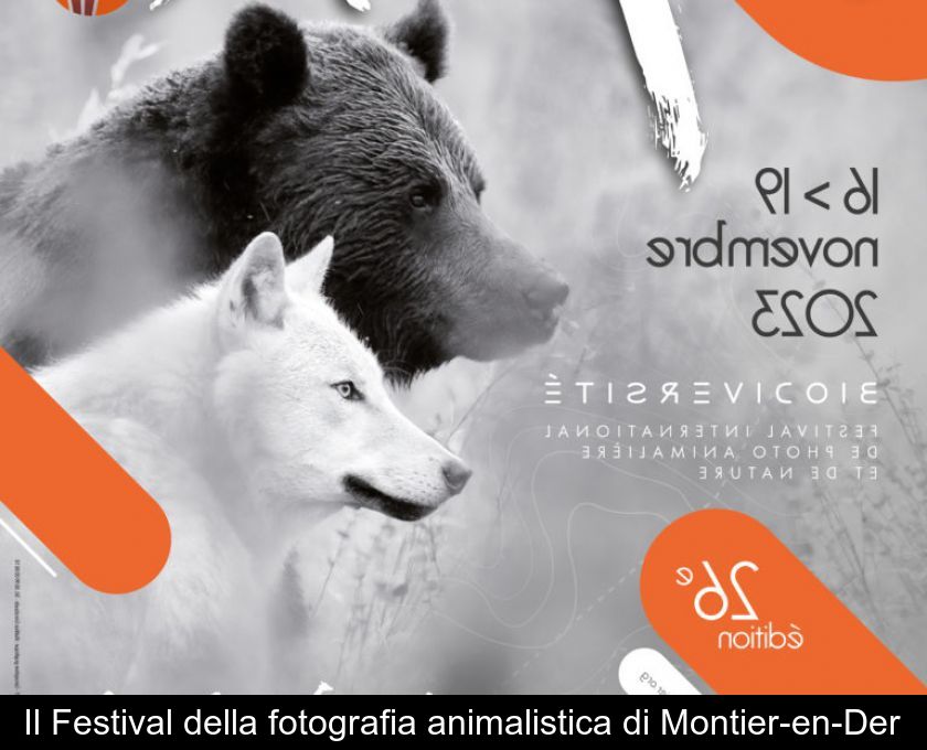 Il Festival Della Fotografia Animalistica Di Montier-en-der