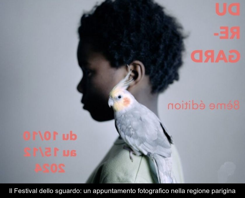 Il Festival Dello Sguardo: Un Appuntamento Fotografico Nella Regione Parigina
