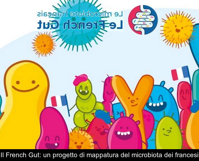 Il French Gut: Un Progetto Di Mappatura Del Microbiota Dei Francesi