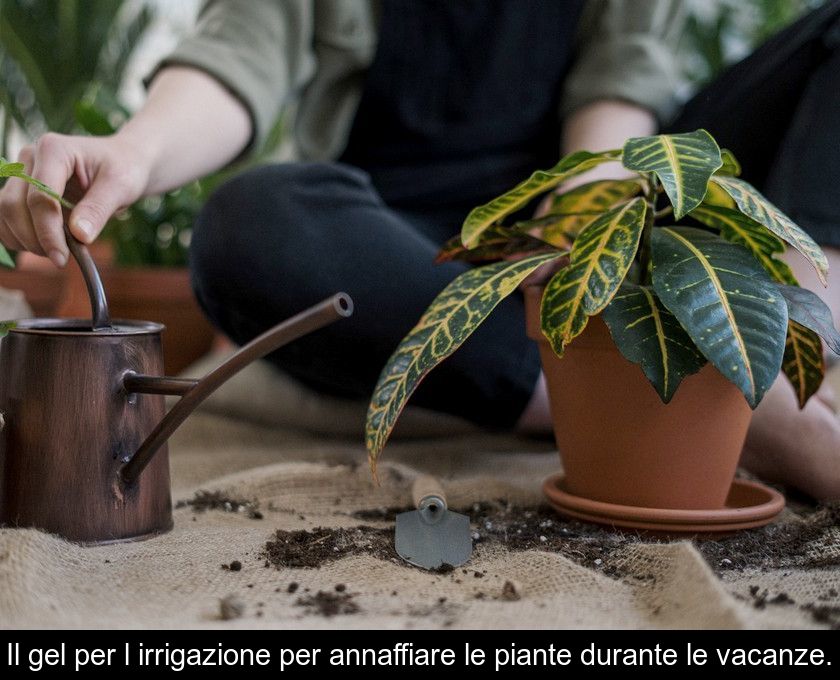 Il Gel Per L'irrigazione Per Annaffiare Le Piante Durante Le Vacanze.