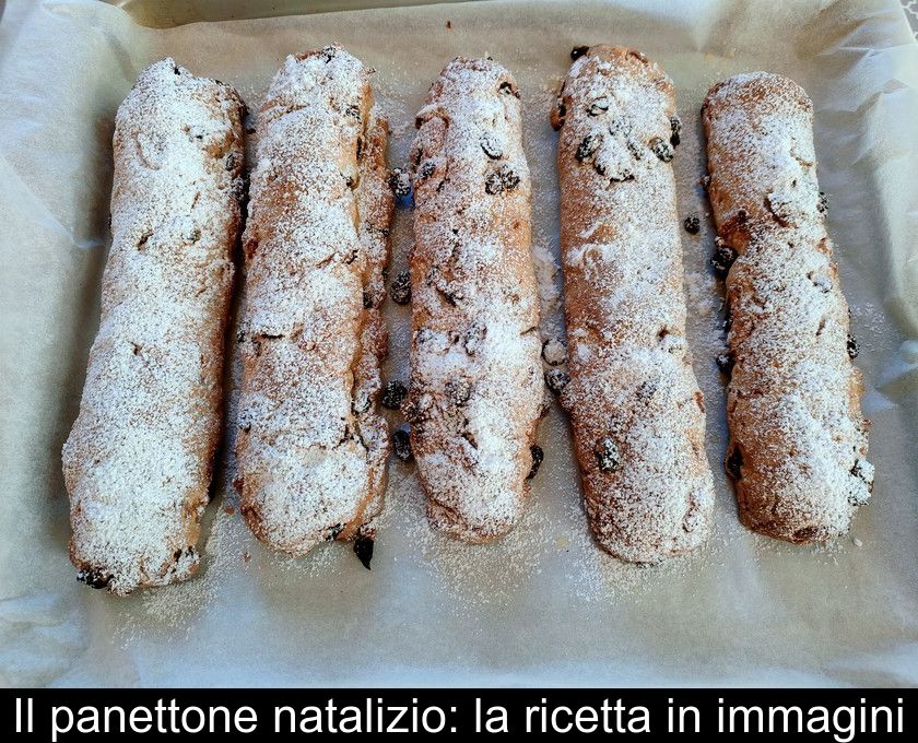 Il Panettone Natalizio: La Ricetta In Immagini