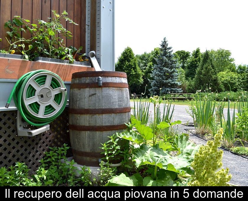 Il Recupero Dell'acqua Piovana In 5 Domande