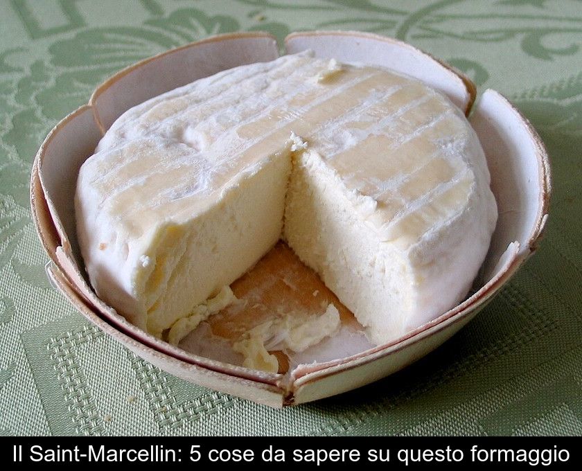 Il Saint-marcellin: 5 Cose Da Sapere Su Questo Formaggio