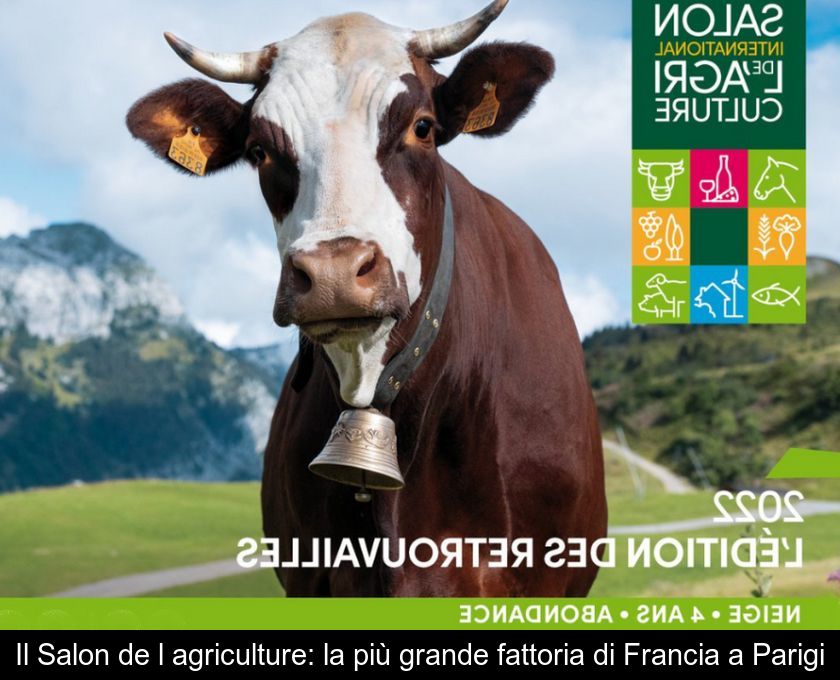 Il Salon De L'agriculture: La Più Grande Fattoria Di Francia A Parigi