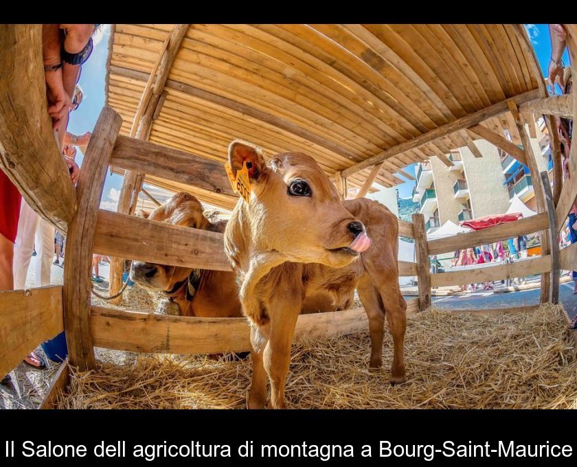 Il Salone Dell'agricoltura Di Montagna A Bourg-saint-maurice
