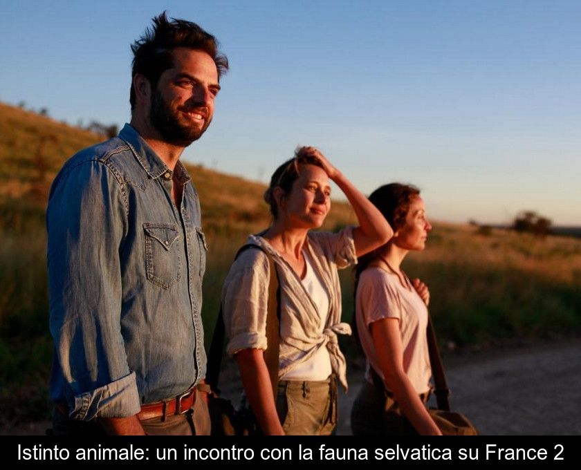Istinto Animale: Un Incontro Con La Fauna Selvatica Su France 2