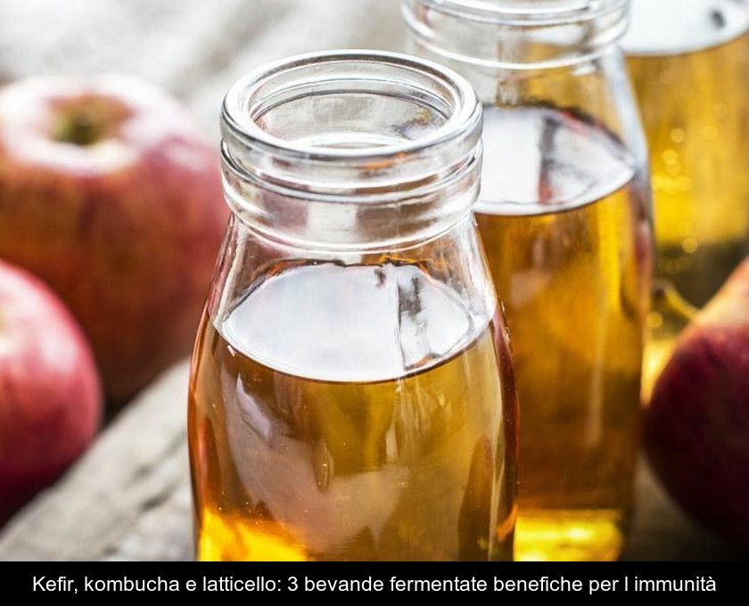 Kefir, Kombucha E Latticello: 3 Bevande Fermentate Benefiche Per L'immunità