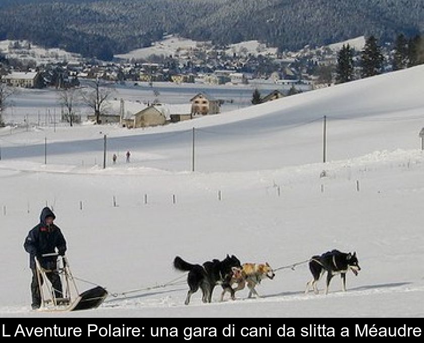 L'aventure Polaire: Una Gara Di Cani Da Slitta A Méaudre