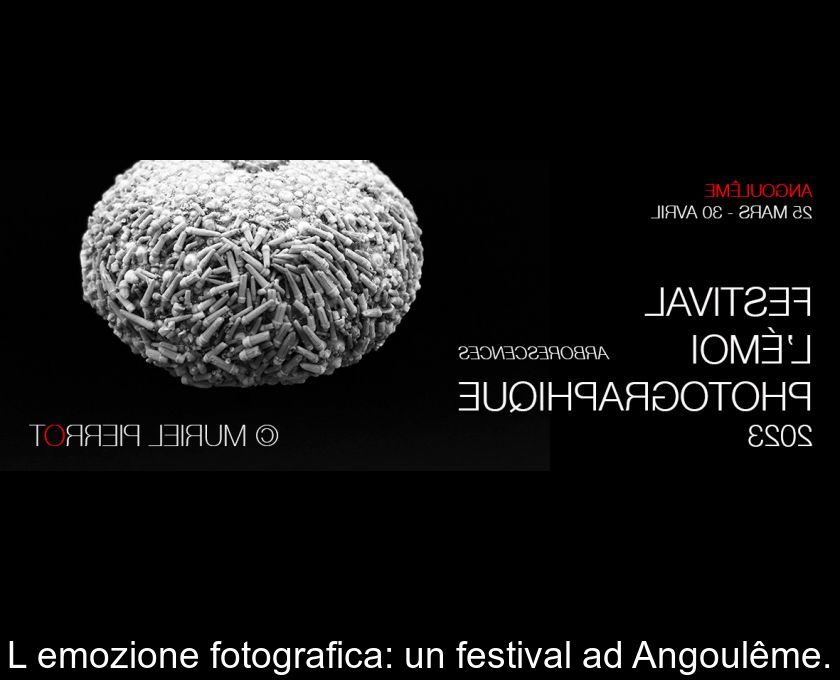L'emozione Fotografica: Un Festival Ad Angoulême.