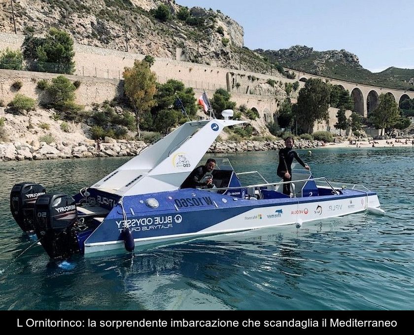 L'ornitorinco: La Sorprendente Imbarcazione Che Scandaglia Il Mediterraneo