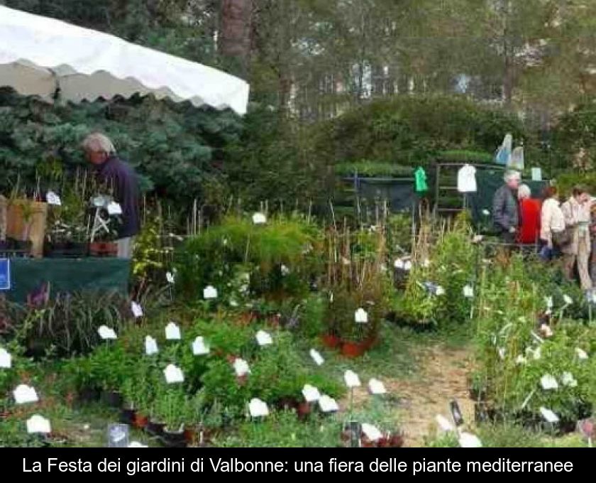 La Festa Dei Giardini Di Valbonne: Una Fiera Delle Piante Mediterranee