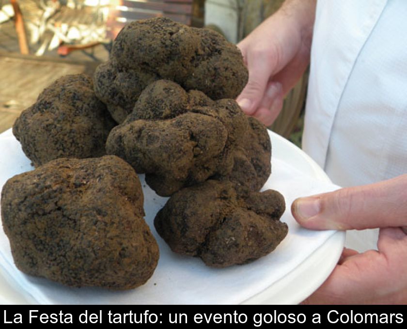 La Festa Del Tartufo: Un Evento Goloso A Colomars