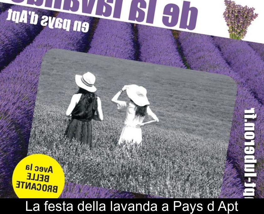 La Festa Della Lavanda A Pays D'apt