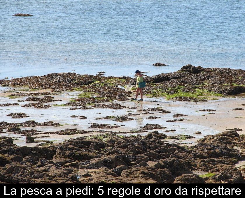 La Pesca A Piedi: 5 Regole D'oro Da Rispettare