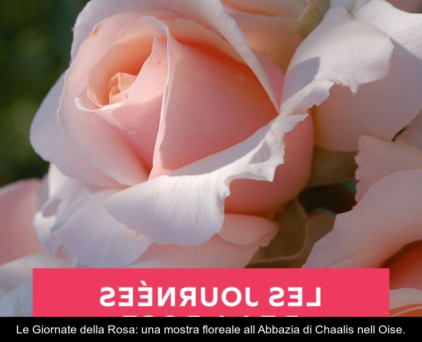 Le Giornate Della Rosa: Una Mostra Floreale All'abbazia Di Chaalis Nell'oise.