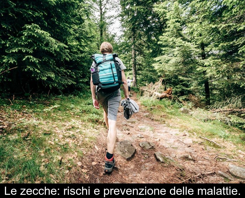 Le Zecche: Rischi E Prevenzione Delle Malattie.