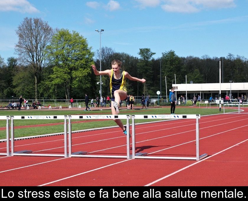 Lo Stress Esiste E Fa Bene Alla Salute Mentale.