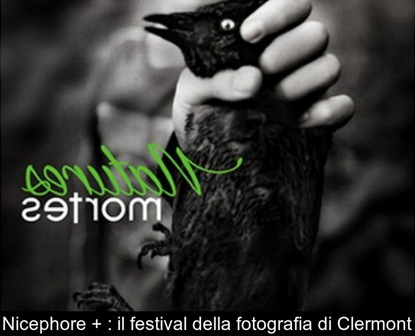 Nicephore + : Il Festival Della Fotografia Di Clermont