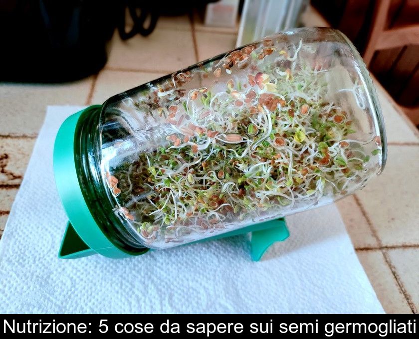 Nutrizione: 5 Cose Da Sapere Sui Semi Germogliati