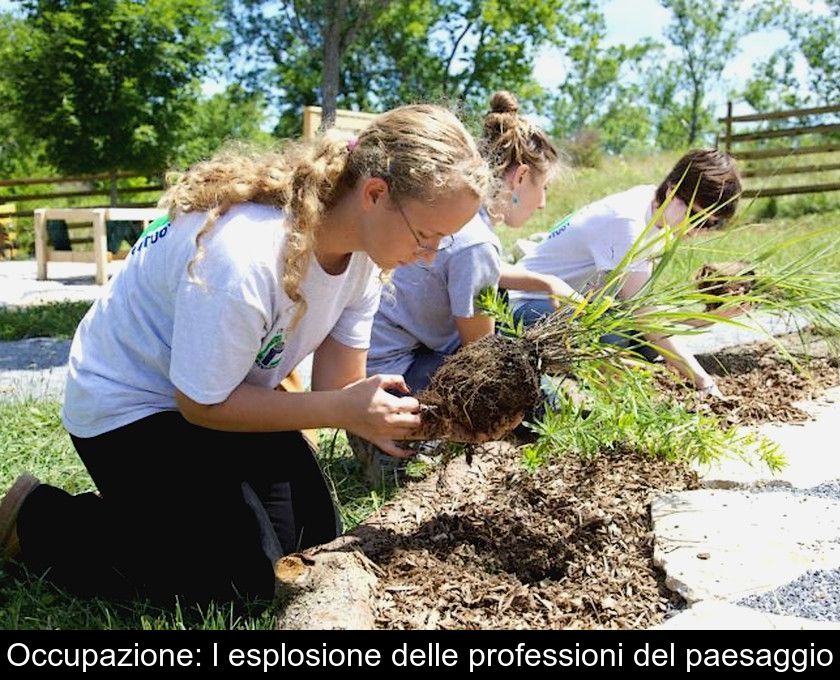 Occupazione: L'esplosione Delle Professioni Del Paesaggio