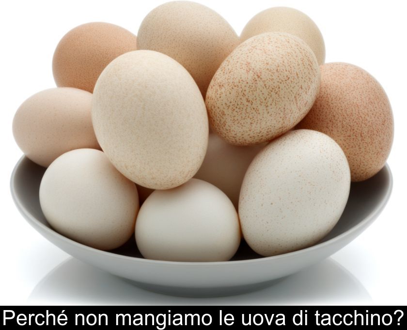 Perché Non Mangiamo Le Uova Di Tacchino?