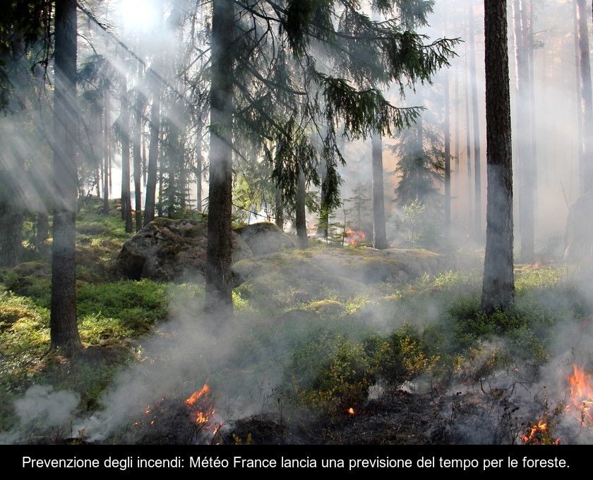 Prevenzione Degli Incendi: Météo France Lancia Una Previsione Del Tempo Per Le Foreste.