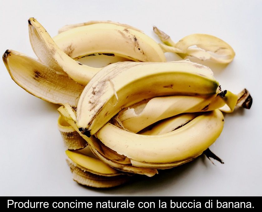 Produrre Concime Naturale Con La Buccia Di Banana.