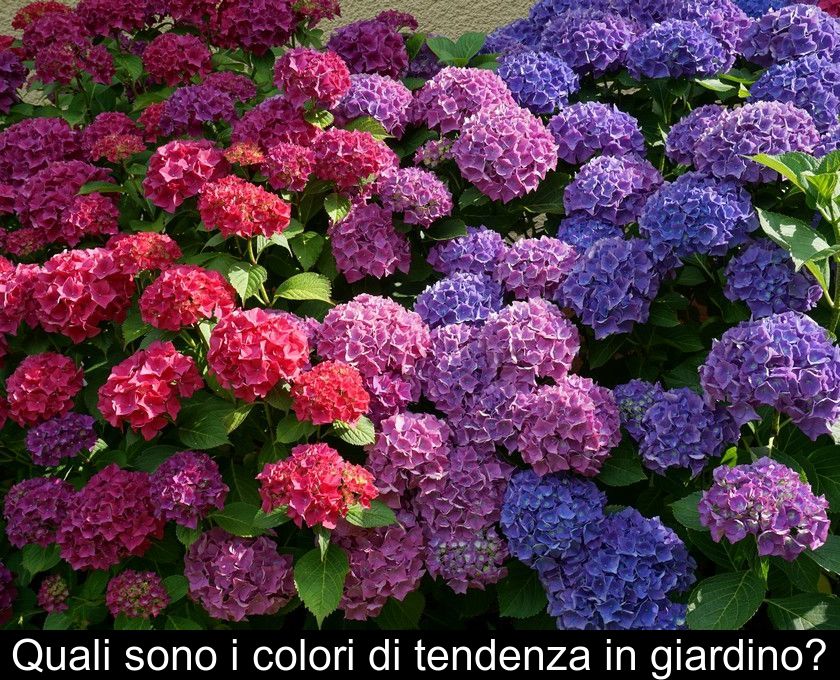 Quali Sono I Colori Di Tendenza In Giardino?