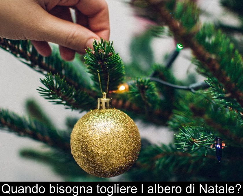 Quando Bisogna Togliere L'albero Di Natale?