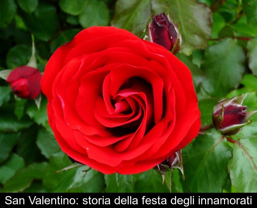 San Valentino: Storia Della Festa Degli Innamorati