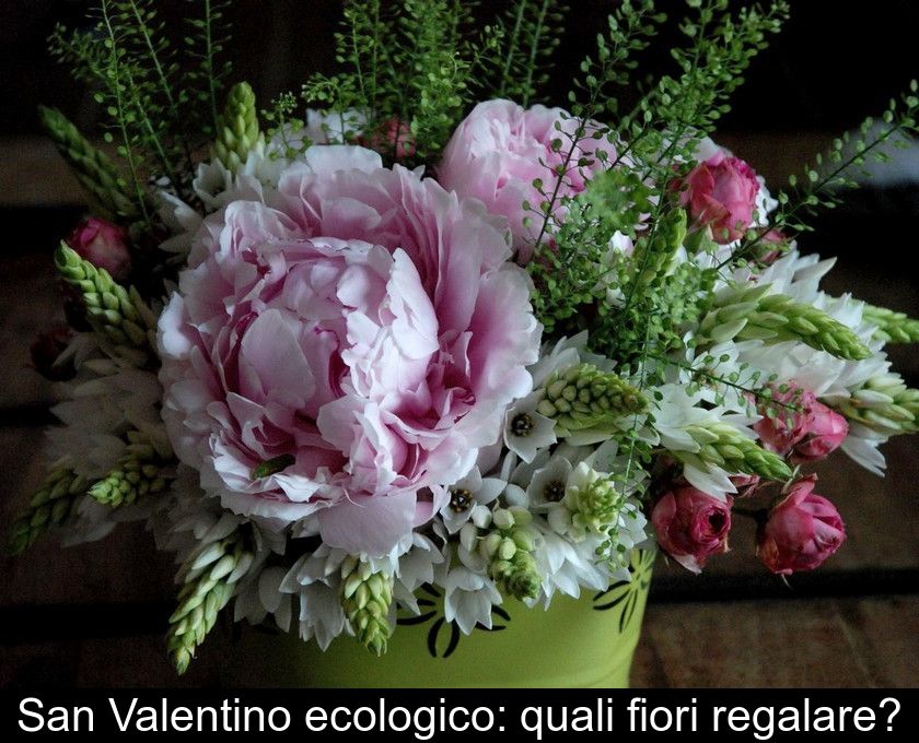 San Valentino Ecologico: Quali Fiori Regalare?