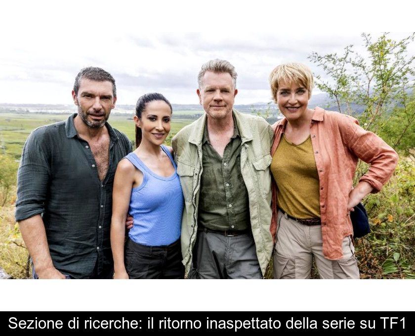 Sezione Di Ricerche: Il Ritorno Inaspettato Della Serie Su Tf1